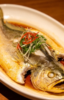 美食鱼一条