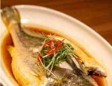 美食鱼一条